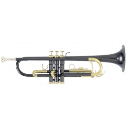 Roy Benson TR-101K Труба Bb
