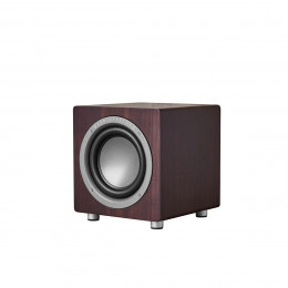 Audiovector QR SUB Dark Walnut Сабвуфер