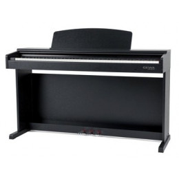 Gewa DIGITAL-PIANO DP300 BLACK Цифровое пианино