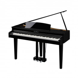 Kawai DG30 Цифровое пианино с рояльной крышкой и корпусом