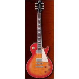 Burny RLG55 VCS Электрогитара