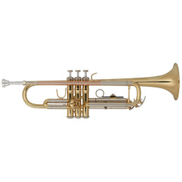 Vincent Bach TR-650 Bb Труба