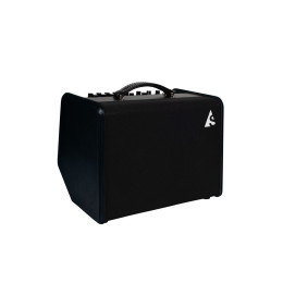 Godin Acoustic Solutions ASG-8 120 Black Комбоусилитель для акустической гитары