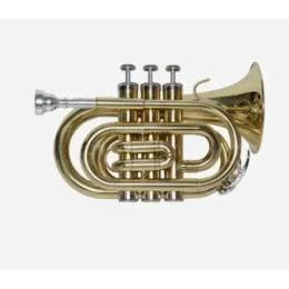 Pierre Cesar JBMT-510L Труба компактная Bb