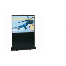 Projecta 10530192 / 93982 Litescreen Matte White High Gain Проекционный экран 98х168
