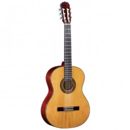 Fina Guitars FC-603 Классическая гитара