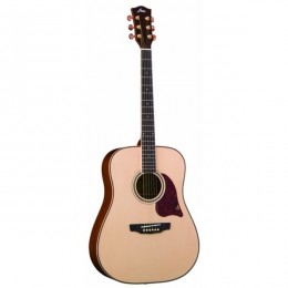 Fina Guitars FD-810 Акустическая гитара