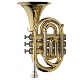 J.Michael TR-350PL Труба Bb