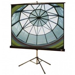 Draper Diplomat AV (1:1) 84/84" 213*213 XT1000E (MW) Мобильный экран