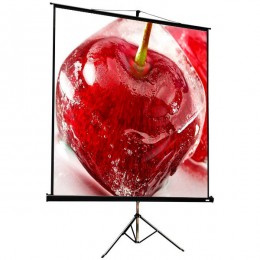 ViewScreen Clamp Pro (1:1) 213*213 (205*205) MW Мобильный проекционный экран