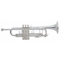 Vincent Bach 180S43G Труба Bb