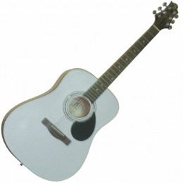 Greg Bennett D1/PW Акустическая гитара
